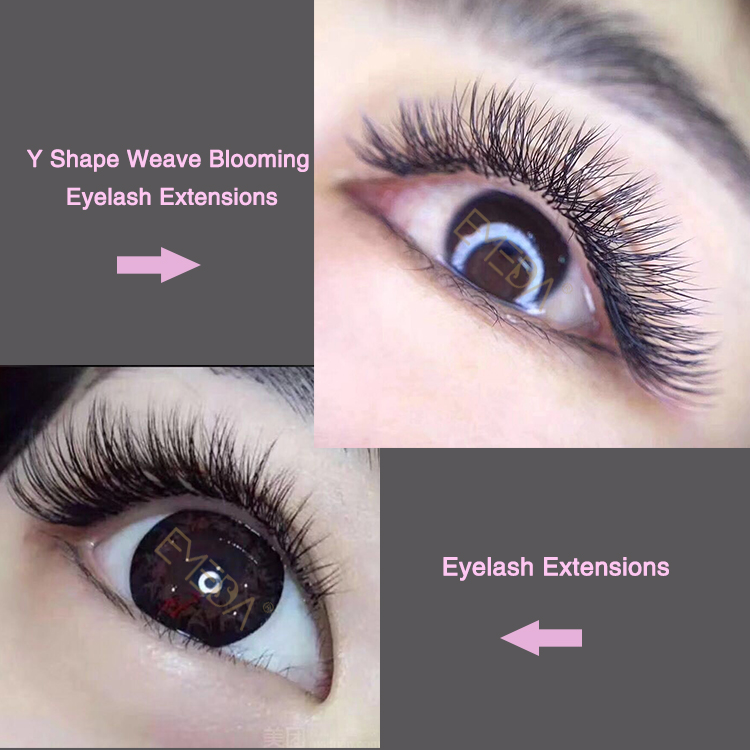 Y Shape Eyelash Extensions Supplier Wholesale Premade Volume Lash 