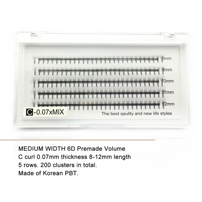 Wholesale 6D flare fan eyelash extension PY1