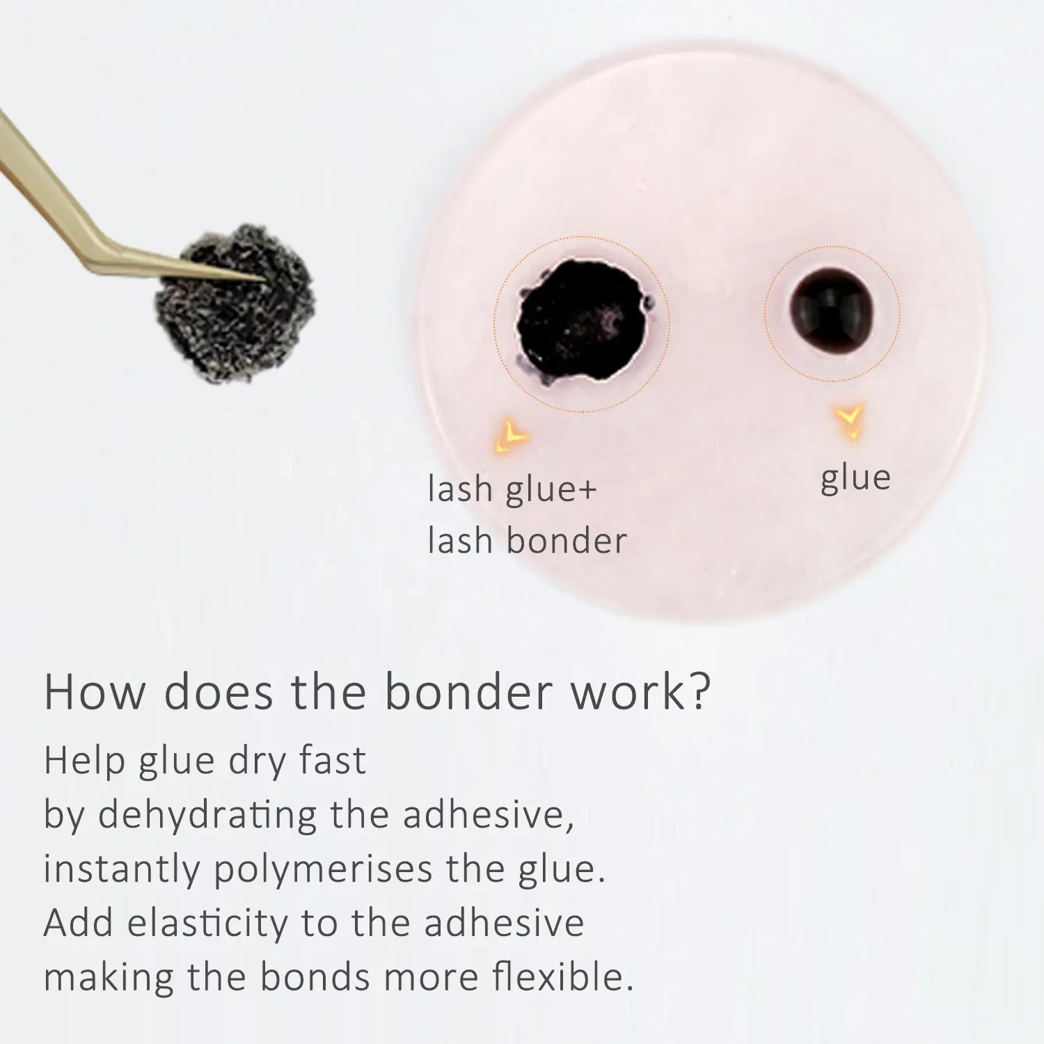 Lash bonder Increase lashes retention time High quality Reduce irritation Easy to use