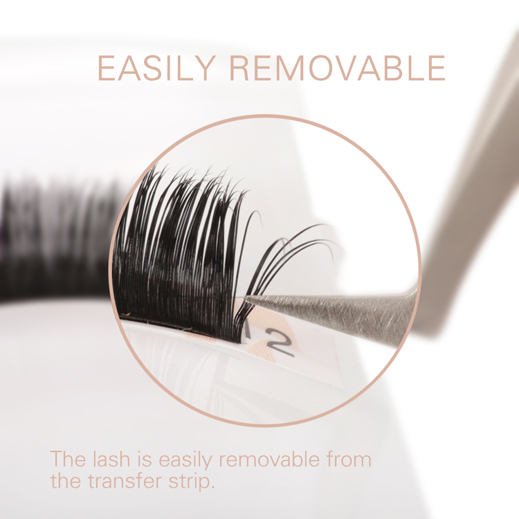 Emeda-Easily-removable.jpg Emeda-Easily-removable.jpg